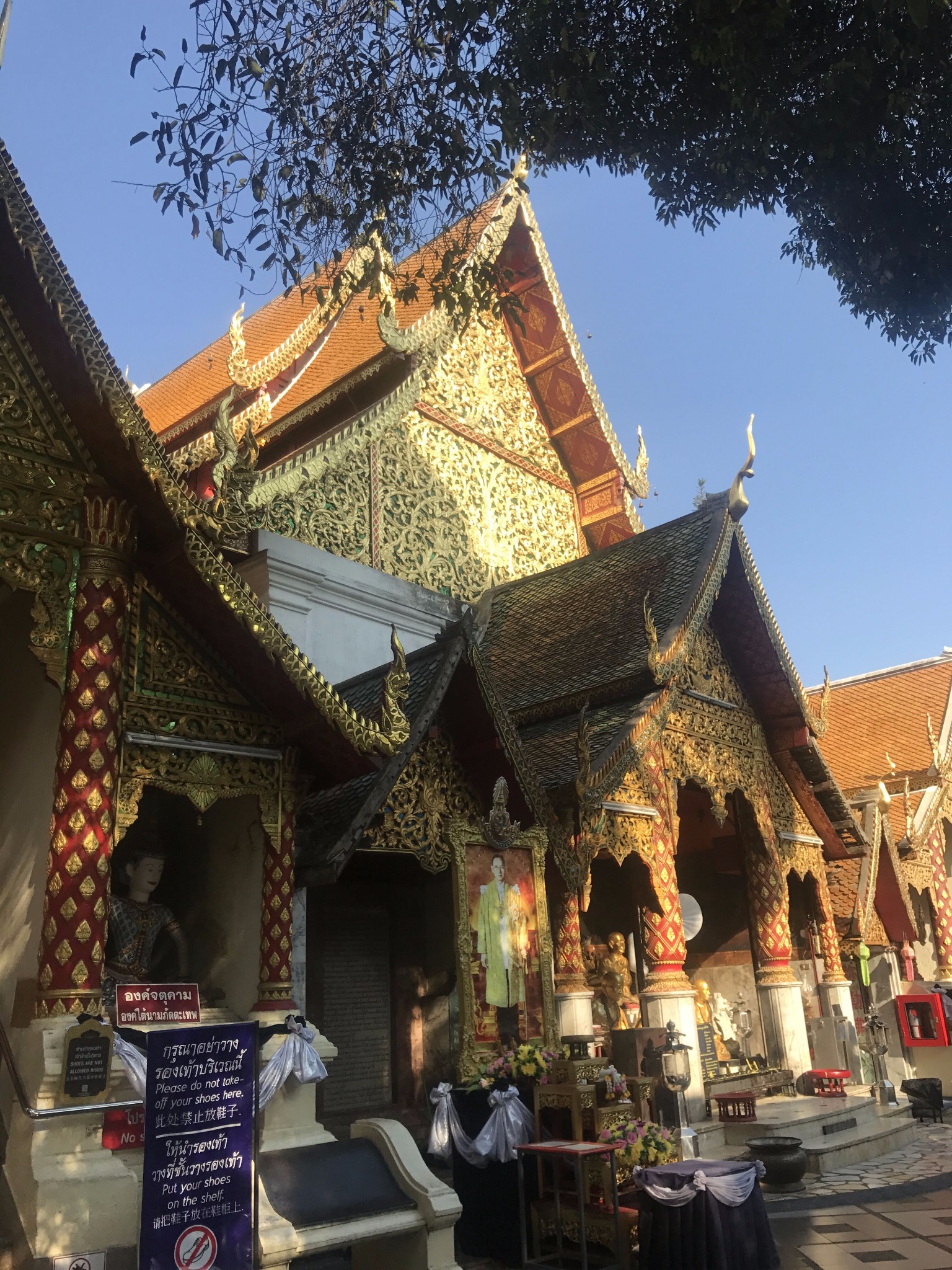 wKgBZ1i9a4iAXHZFAA5abiCA0Dg80.jpeg?imageView2%2F2%2Fw%2F680%2Fq%2F90