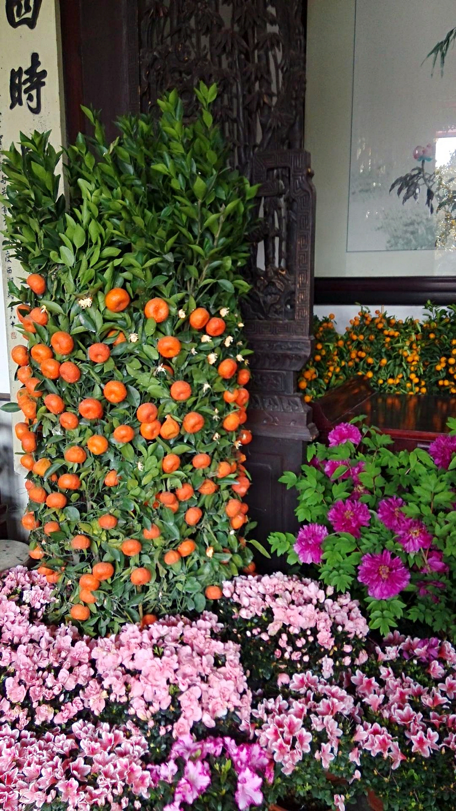 早春的树吉他谱_早春二月 人均(2)