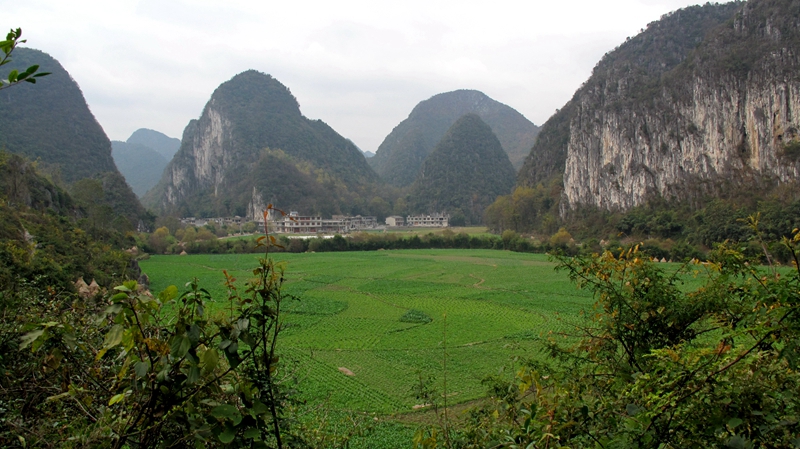 安顺有多少人口_车厘子安顺哪些地方有(2)