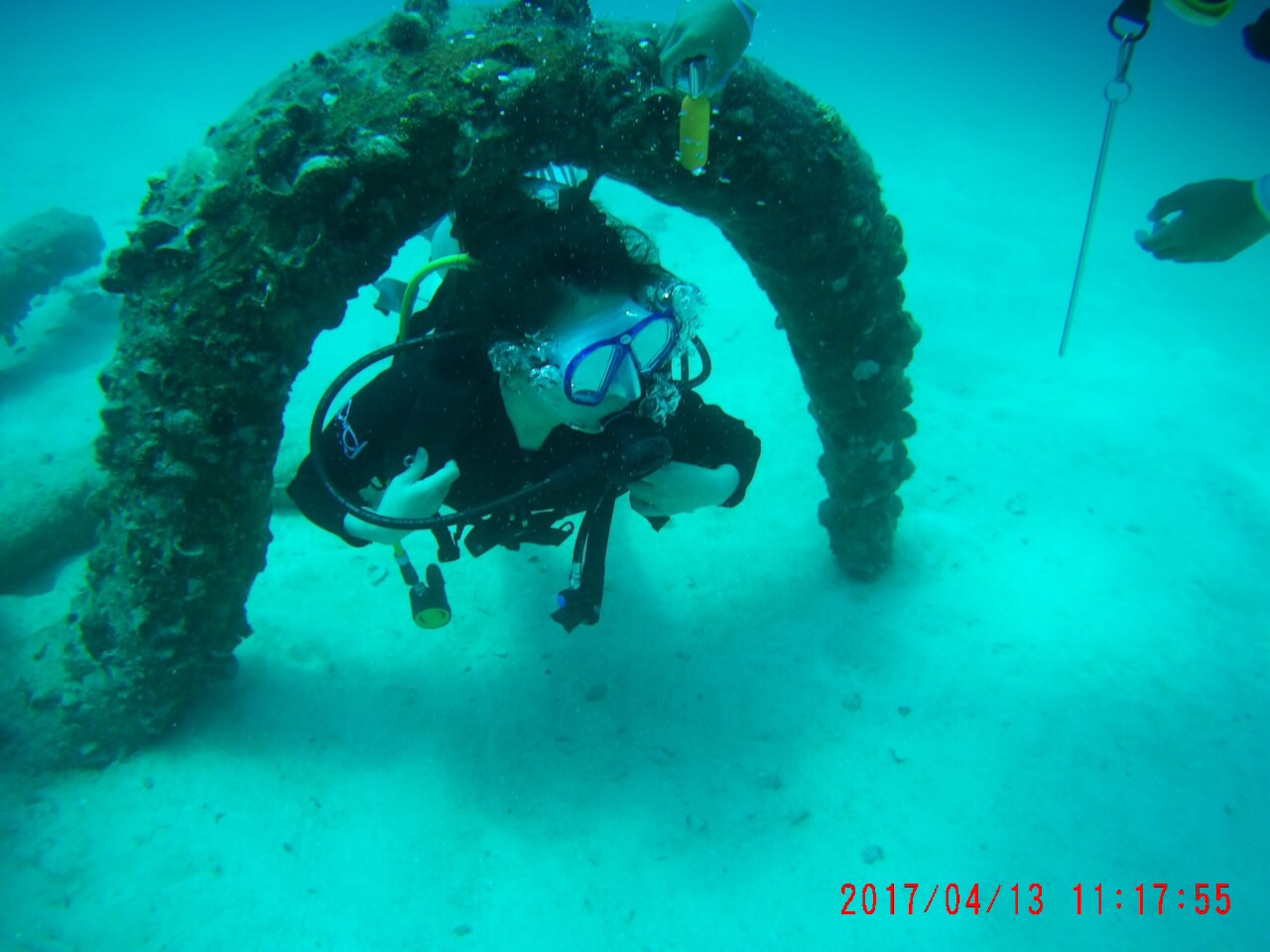 女潜水教练_潜水教练收入(2)