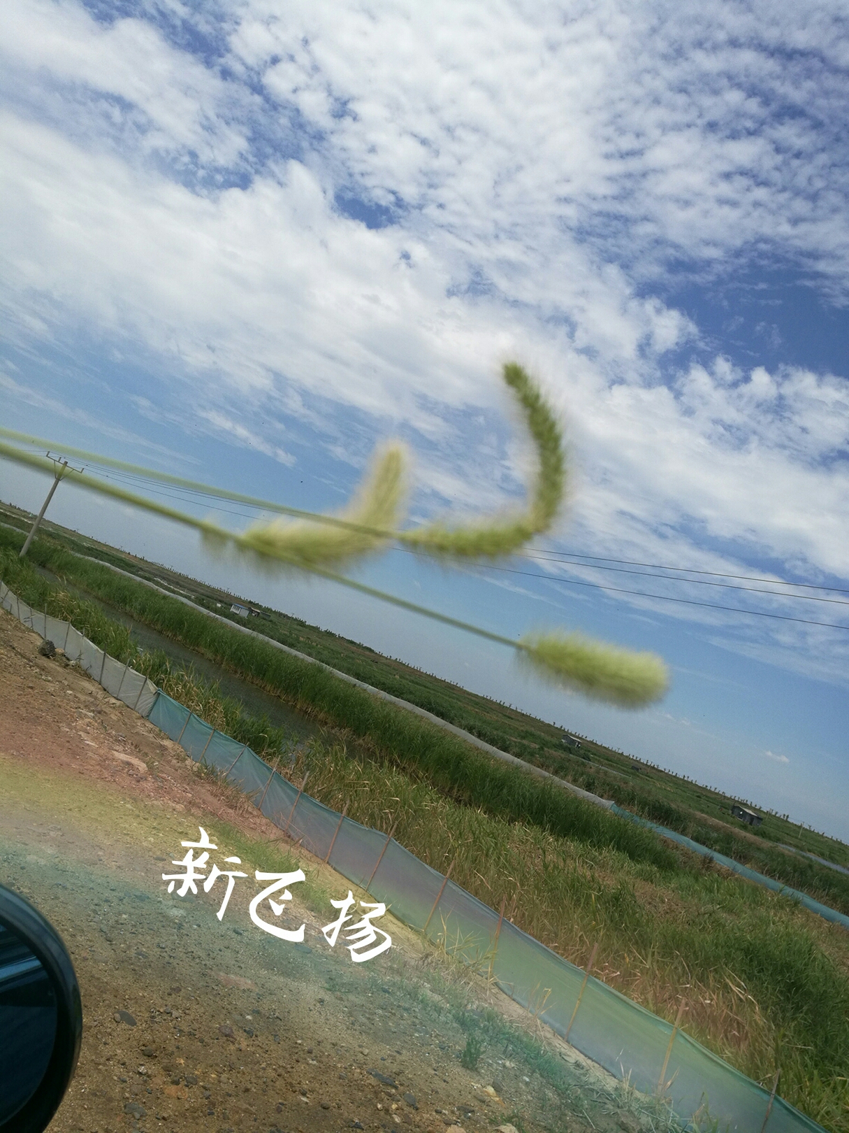 营口市鲅鱼圈区天气123图片