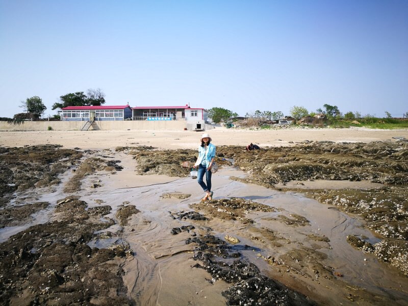 庄河有多少人口_一口一档 一口一策 庄河精准整治入河排污口(2)