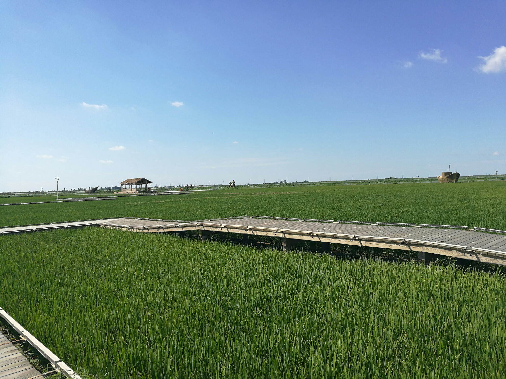 营口市鲅鱼圈区天气123图片