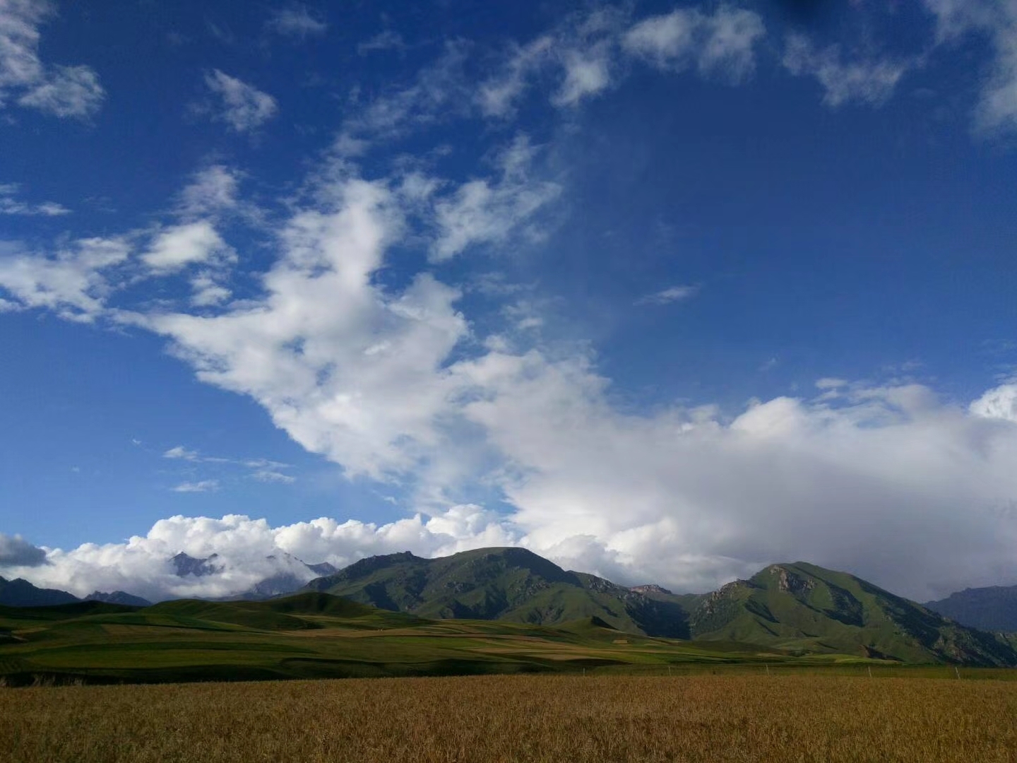 > 祁連山旅遊攻略 hot 走進祁連山那美麗的風景的地方 景點攻略