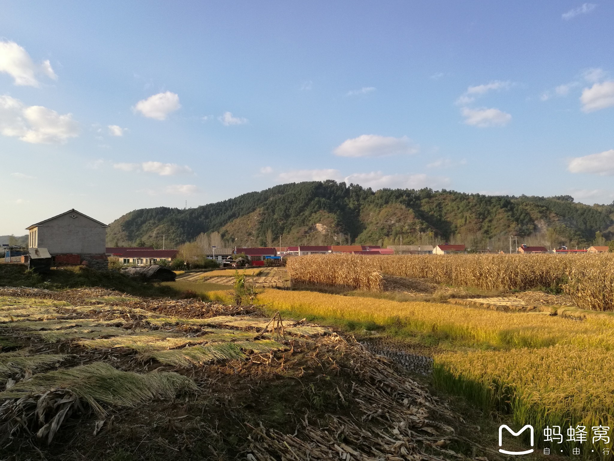 辽宁抚顺下夹河胭脂房村人口_辽宁抚顺地图