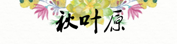 秋叶原 秋叶原