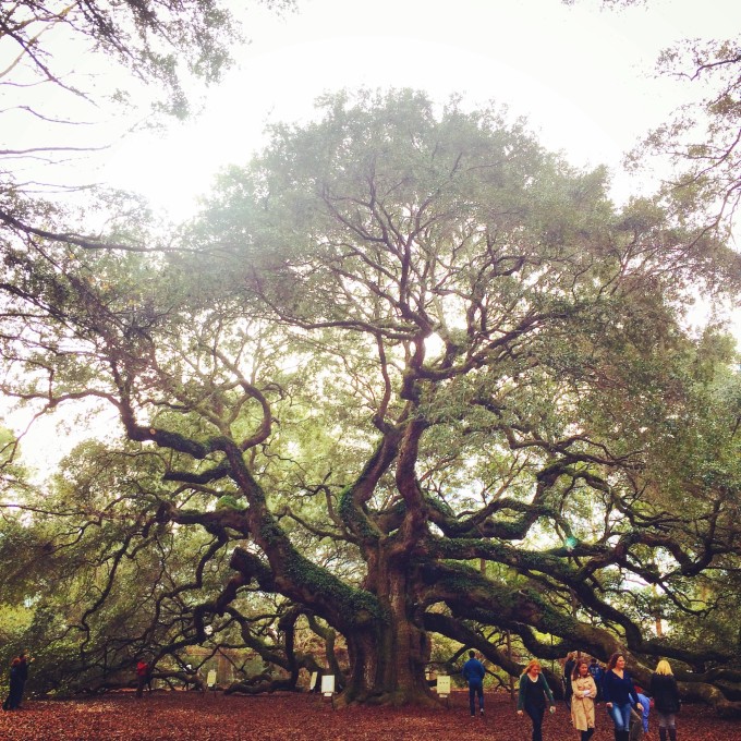 小众路线美东自驾游 a road of exploratory