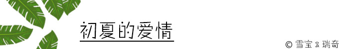 初夏的爱情 初夏的爱情