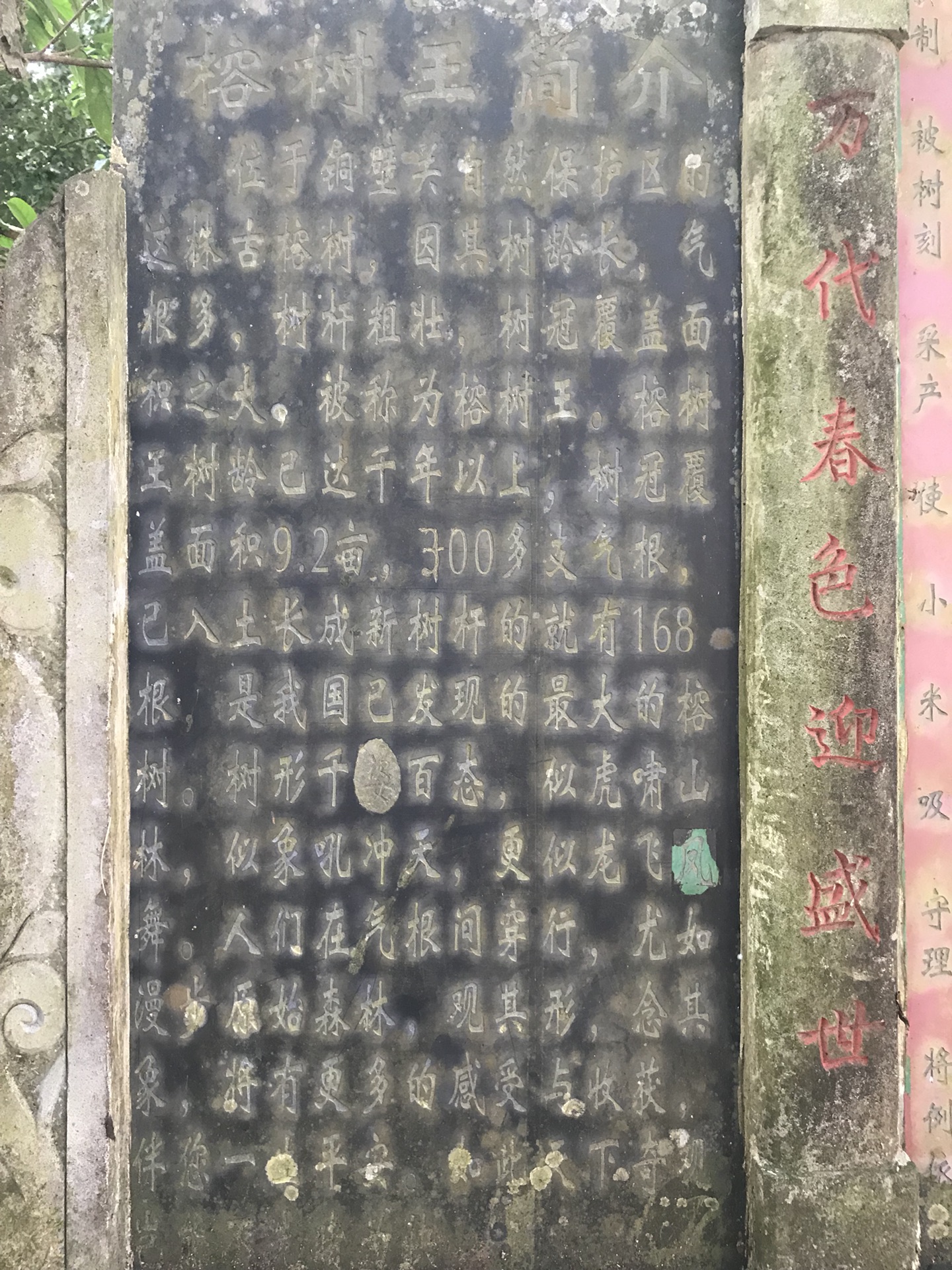铜壁关人口_人口普查图片