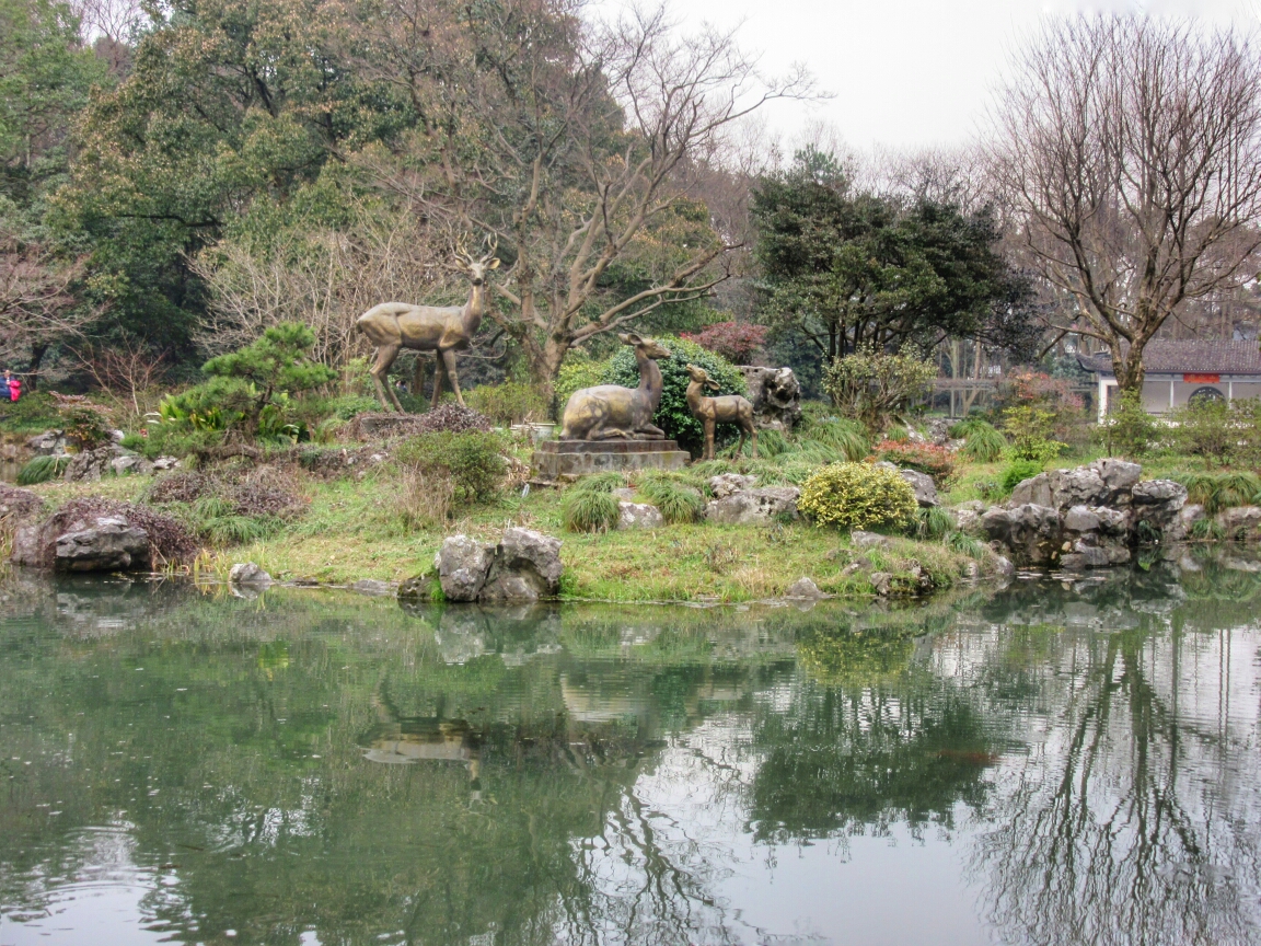 梅花园人口_梅花园图片