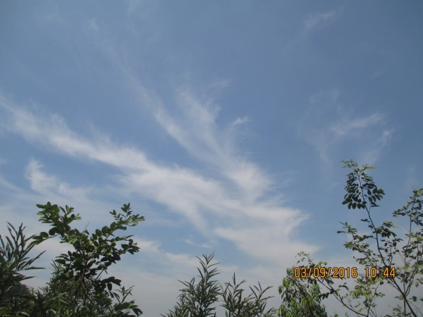 妙手偶得之上句 wKgBZ1hwc9-AeBLoAAf-ItYgR9842.jpeg?imageView2%2F2%2Fw%2F600%2Fh%2F600%2Fq%2F90