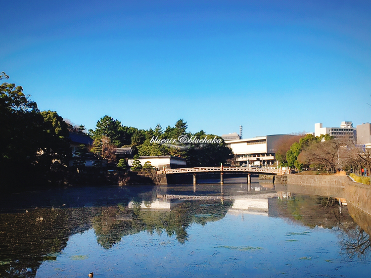 平成28年的城市游行-东京跨年7日自由行-满满