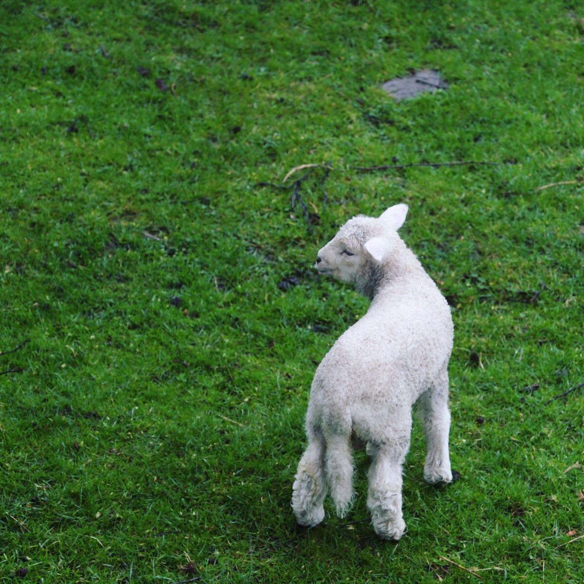 wKgBZ1h3VYKAV-JsAAaeO7A2MTc94.jpeg?imageView2%2F2%2Fw%2F680%2Fq%2F90%7CimageMogr2%2Fstrip%2Fquality%2F90