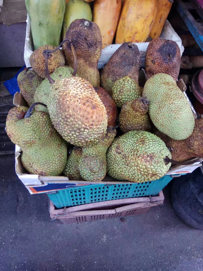 怎么样挑选好吃的菠萝蜜 wKgBEFpm1-2AYOt7ABE4jnUdsMs53.jpeg?imageView2%2F2%2Fw%2F680%2Fq%2F90%7CimageMogr2%2Fstrip%2Fquality%2F90