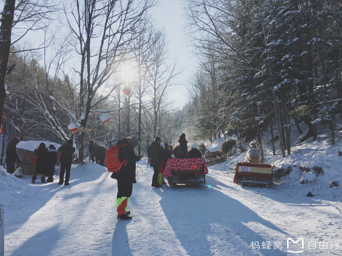 东北什么时候开始有雪 wKgBEFpgYA6AG3PxABQaMQzoSwg34.jpeg?imageView2%2F2%2Fw%2F680%2Fq%2F90%7CimageMogr2%2Fstrip%2Fquality%2F90