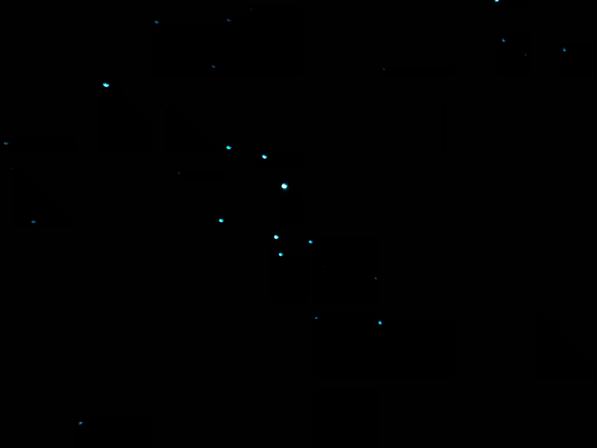 wKgBEFpJGqOAees1AAD6n48yXxU33.jpeg?imageView2%2F2%2Fw%2F680%2Fq%2F90%7CimageMogr2%2Fstrip%2Fquality%2F90