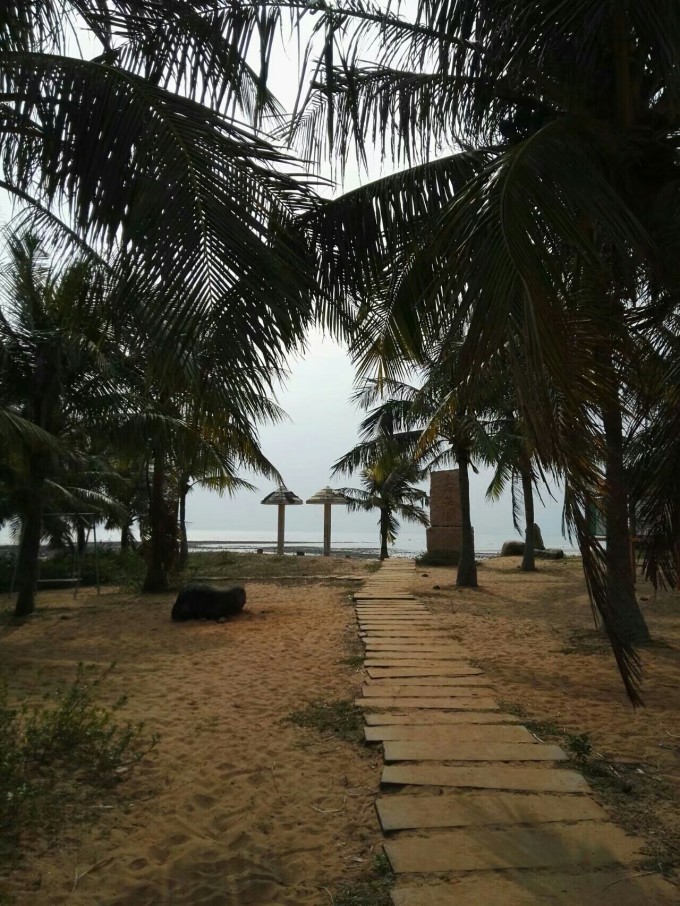 〖湛江三亚旅游景点介绍湛江海南旅游攻略〗