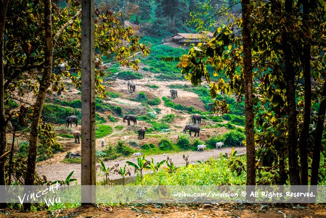 曼谷和马尼拉GDP_马尼拉gdp