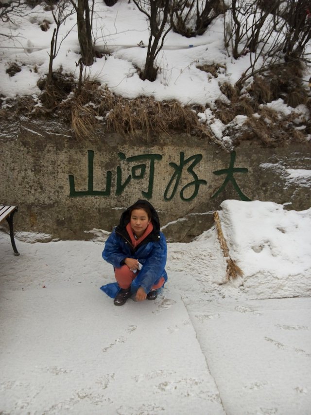 什么华山成语_华山是什么地形(3)