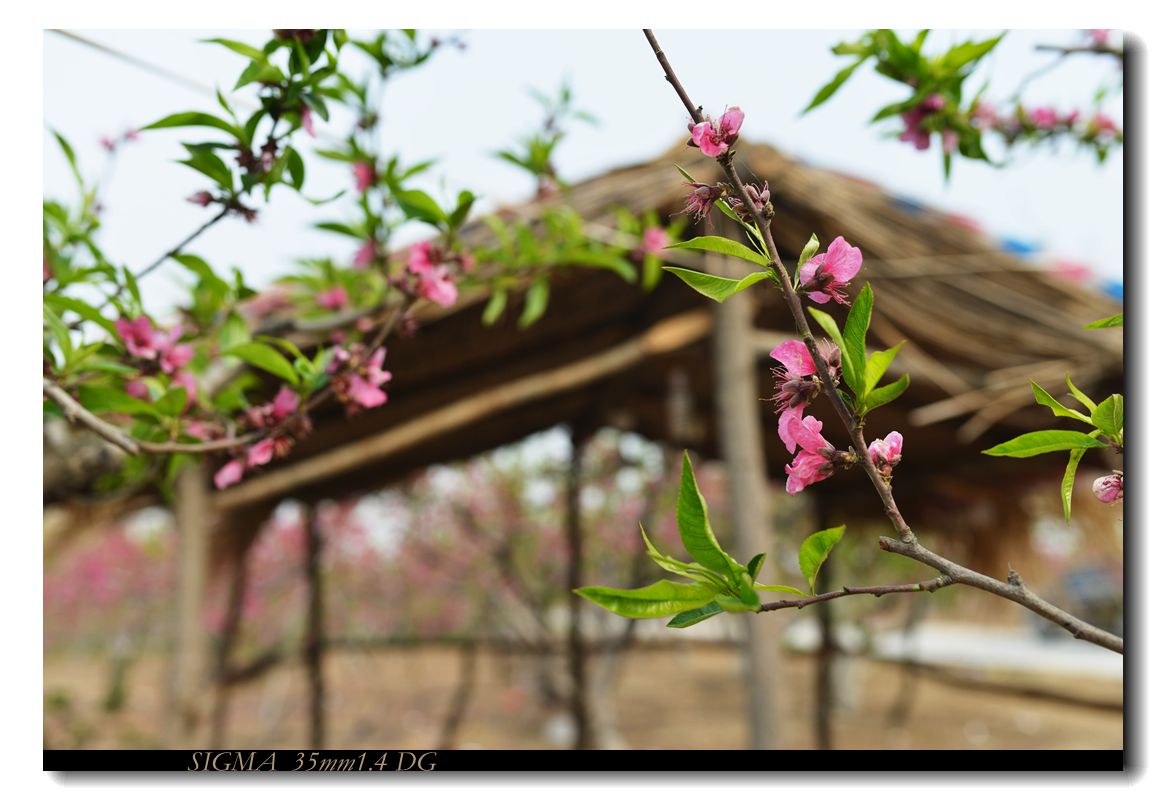 wKgB4lNCF2uAfPKsAAHDQ0WazzA33.jpeg?imageView2%2F2%2Fw%2F680%2Fq%2F90