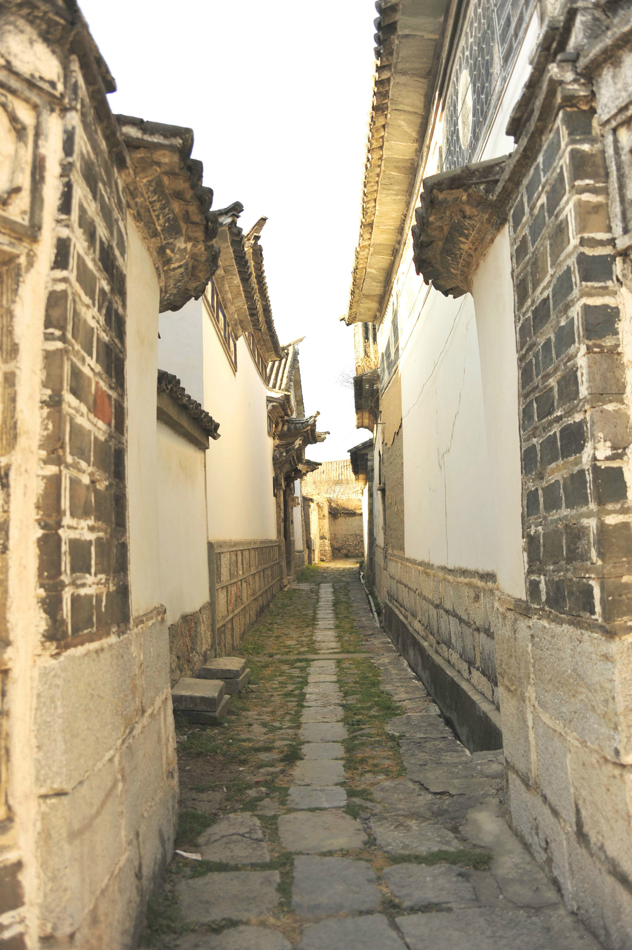 成语仓什么主人_成语故事简笔画(3)