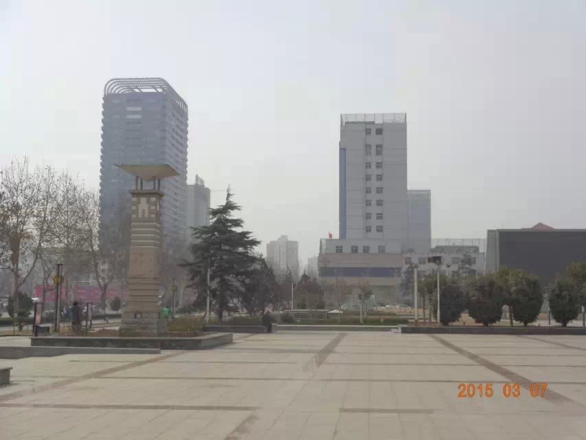 成语什么志成城
