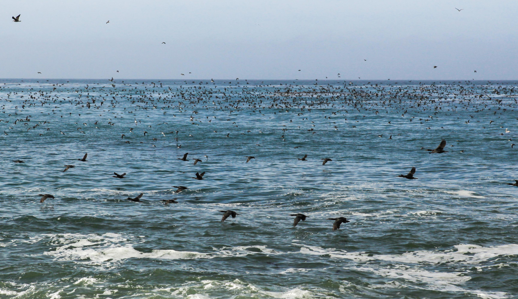 wKgBpVYkrE-AWNhDAAzmH2g5xYk40.jpeg?imageView2%2F2%2Fw%2F680%2Fq%2F90