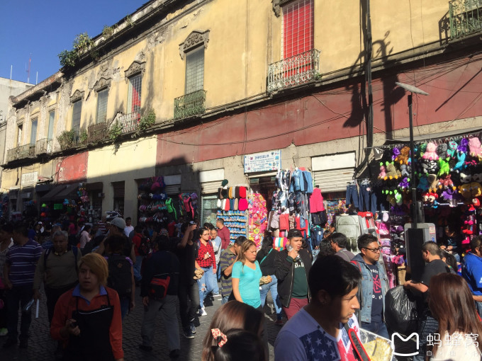 古玛雅探寻之旅,小记在坎昆&墨西哥城的11天