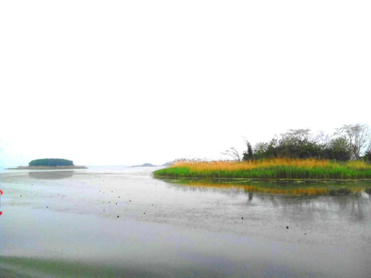 兰溪下潘人口(2)