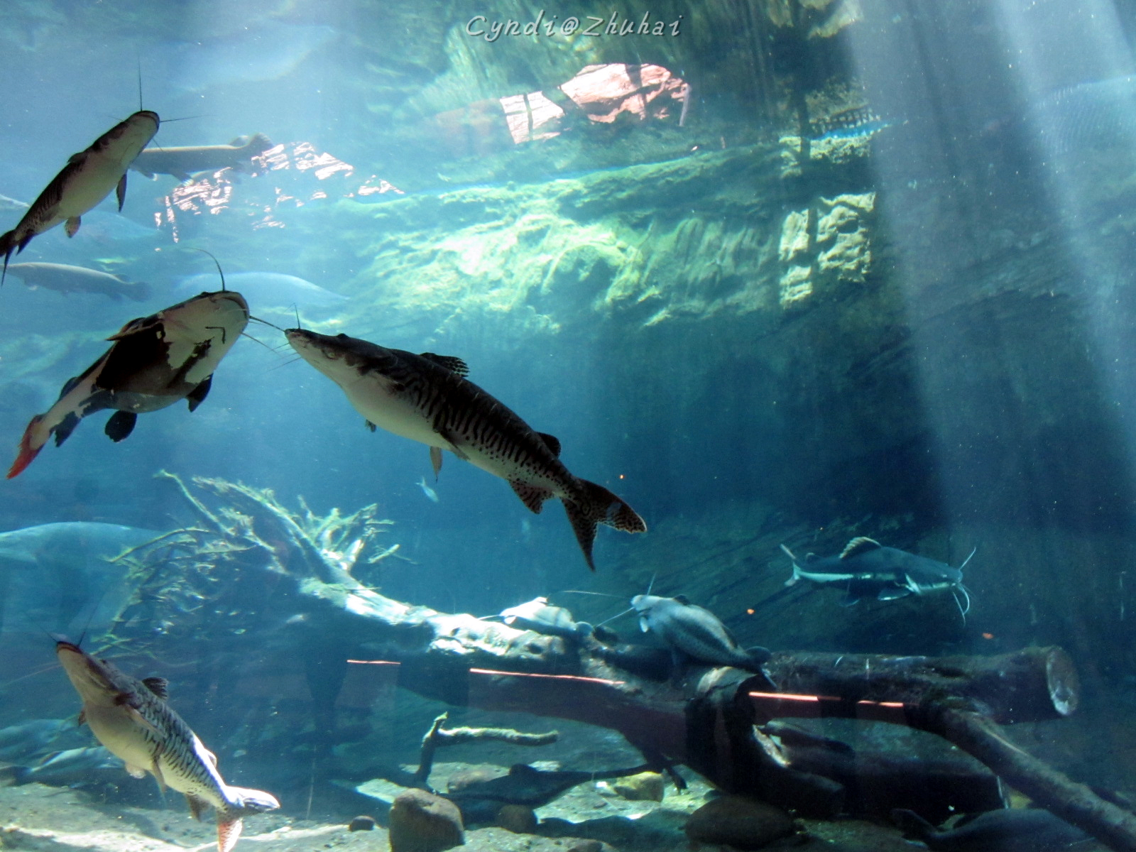 wKgBpVUkA3GAM2YrABnV2jRe5EQ83.jpeg?imageView2%2F2%2Fw%2F680%2Fq%2F90