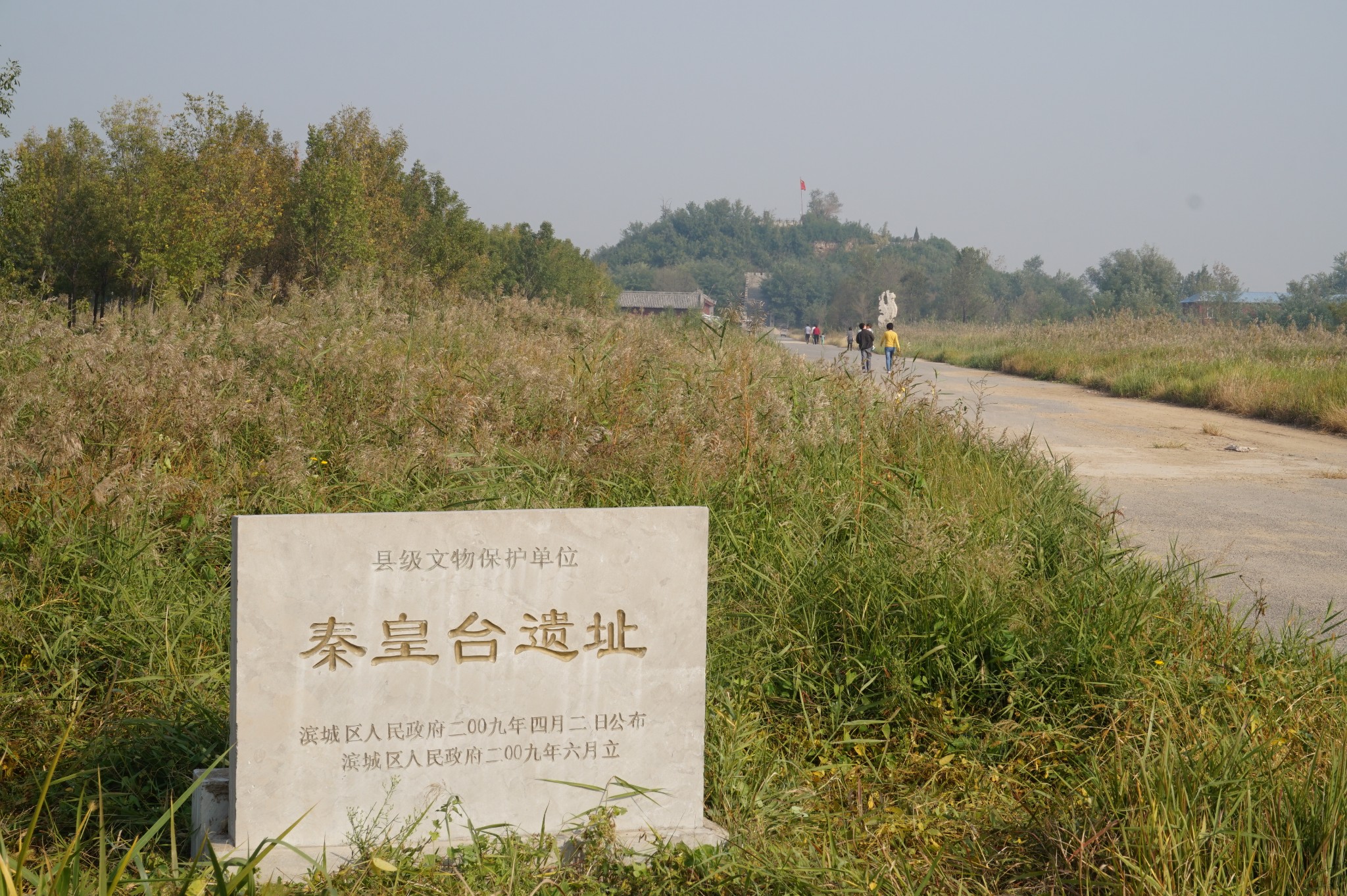 山东省滨州市滨城区有多少人口_滨州市滨城区图片