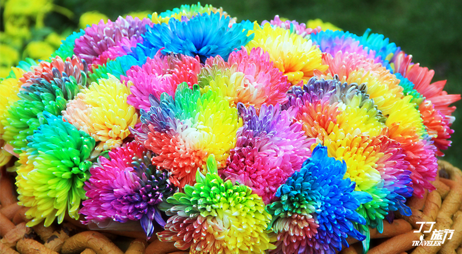 开封游记--第1页