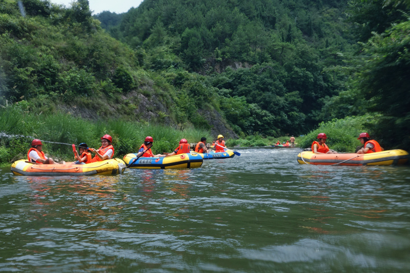 浙江漂流排名_浙江毒蛇排名图片