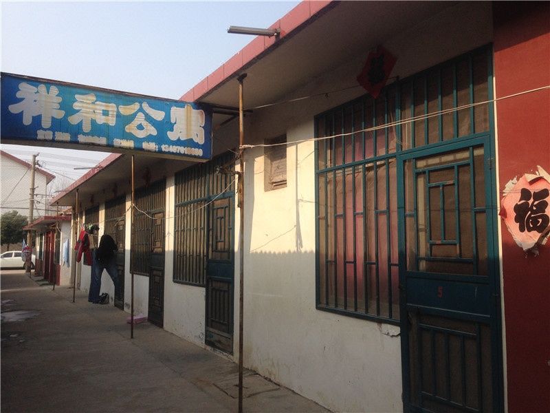地址:日照大学城新合村 查看地图