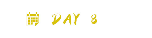 DAY 8 DAY 8