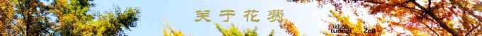 关于花费 关于花费