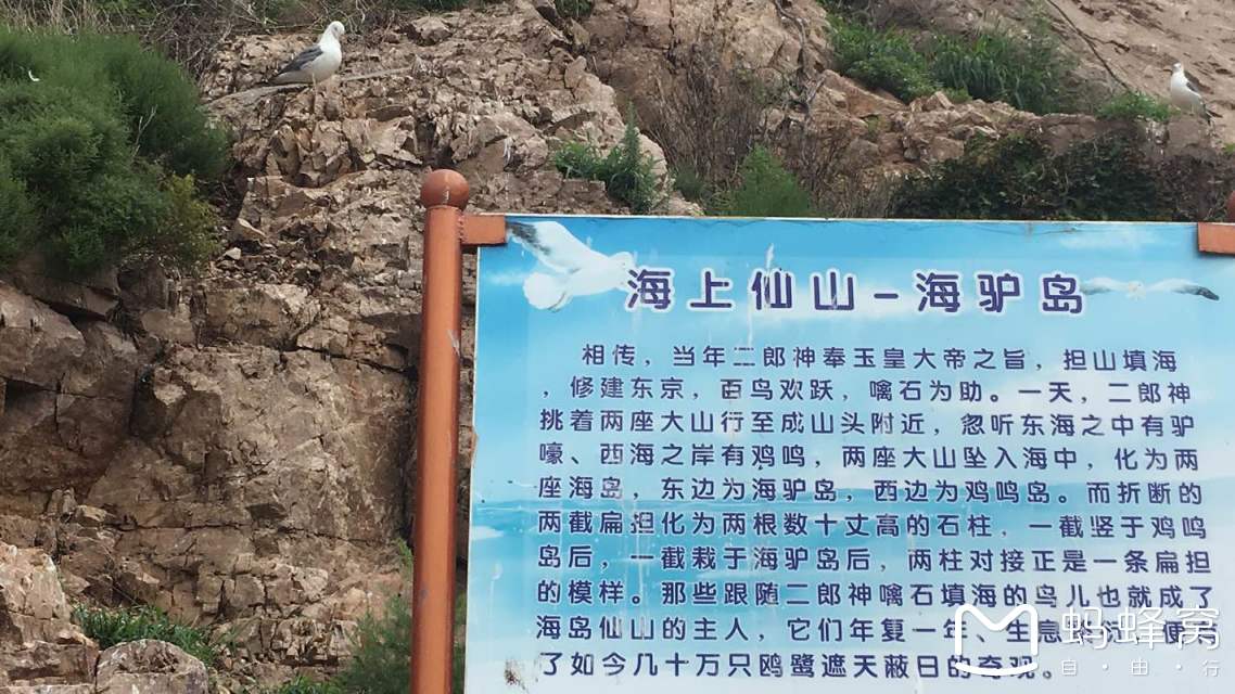 小小一粒沙简谱_小小一粒沙钢琴简谱(2)