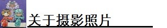 关于摄影照片 关于摄影照片
