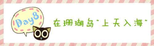 Day8 在“珊瑚岛”上天入海 Day8 在“珊瑚岛”上天入海