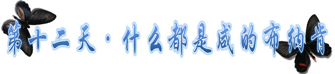 第十二天~布纳肯~布纳肯什么都是咸的 第十二天~布纳肯~布纳肯什么都是咸的