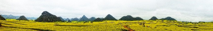 前言 前言