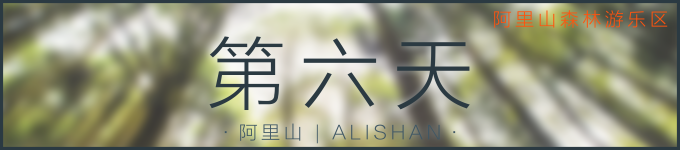 第六天 | 阿里山 第六天 | 阿里山