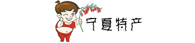 宁夏特产 宁夏特产