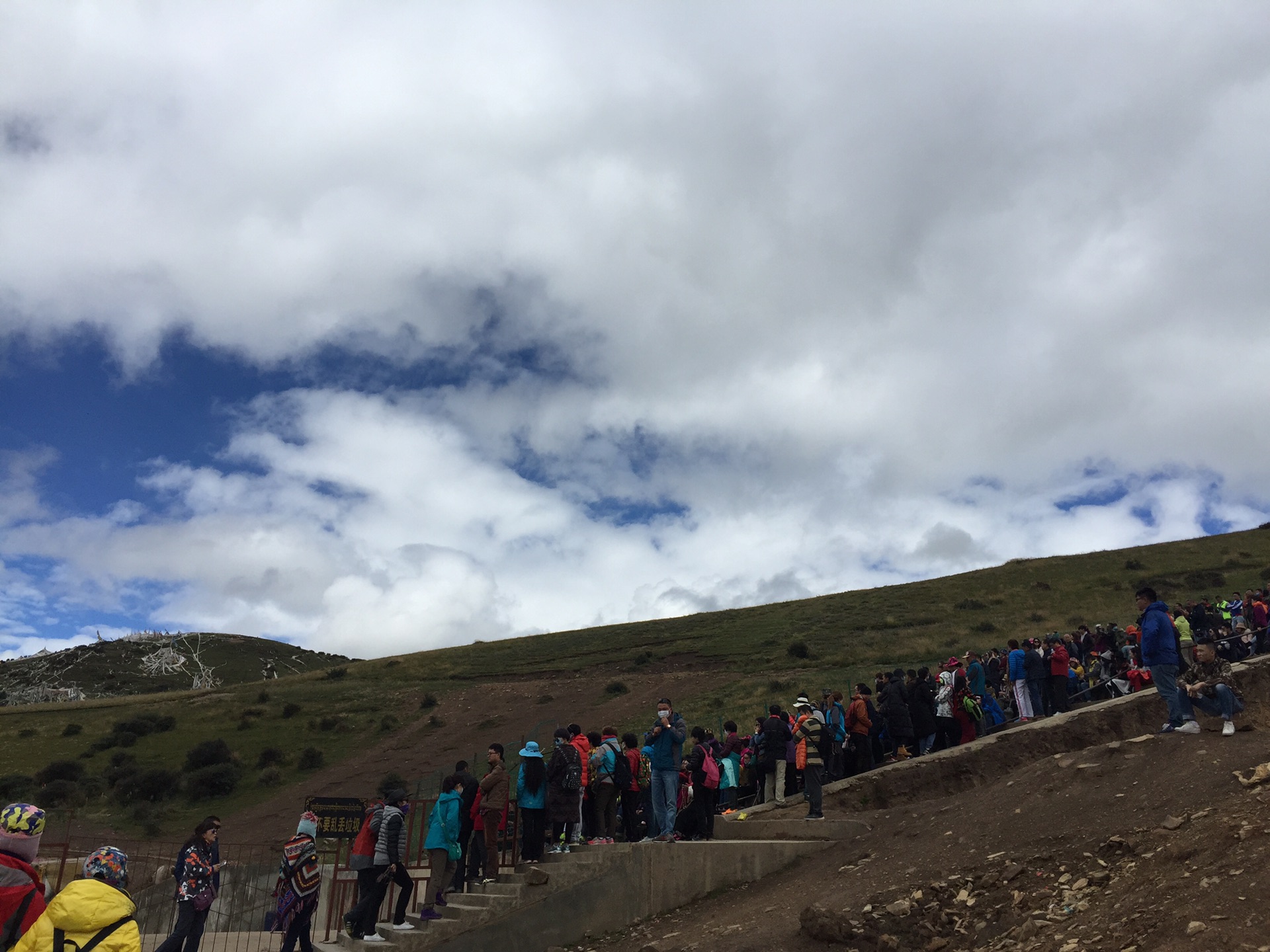 wKgBs1gvA02AM1dFAAfLP5NxR-E97.jpeg?imageView2%2F2%2Fw%2F600%2Fh%2F600%2Fq%2F90