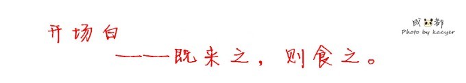 开场白 开场白