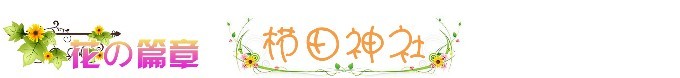 ❀ 花之篇章 - 栉田神社 ❀ 花之篇章 - 栉田神社