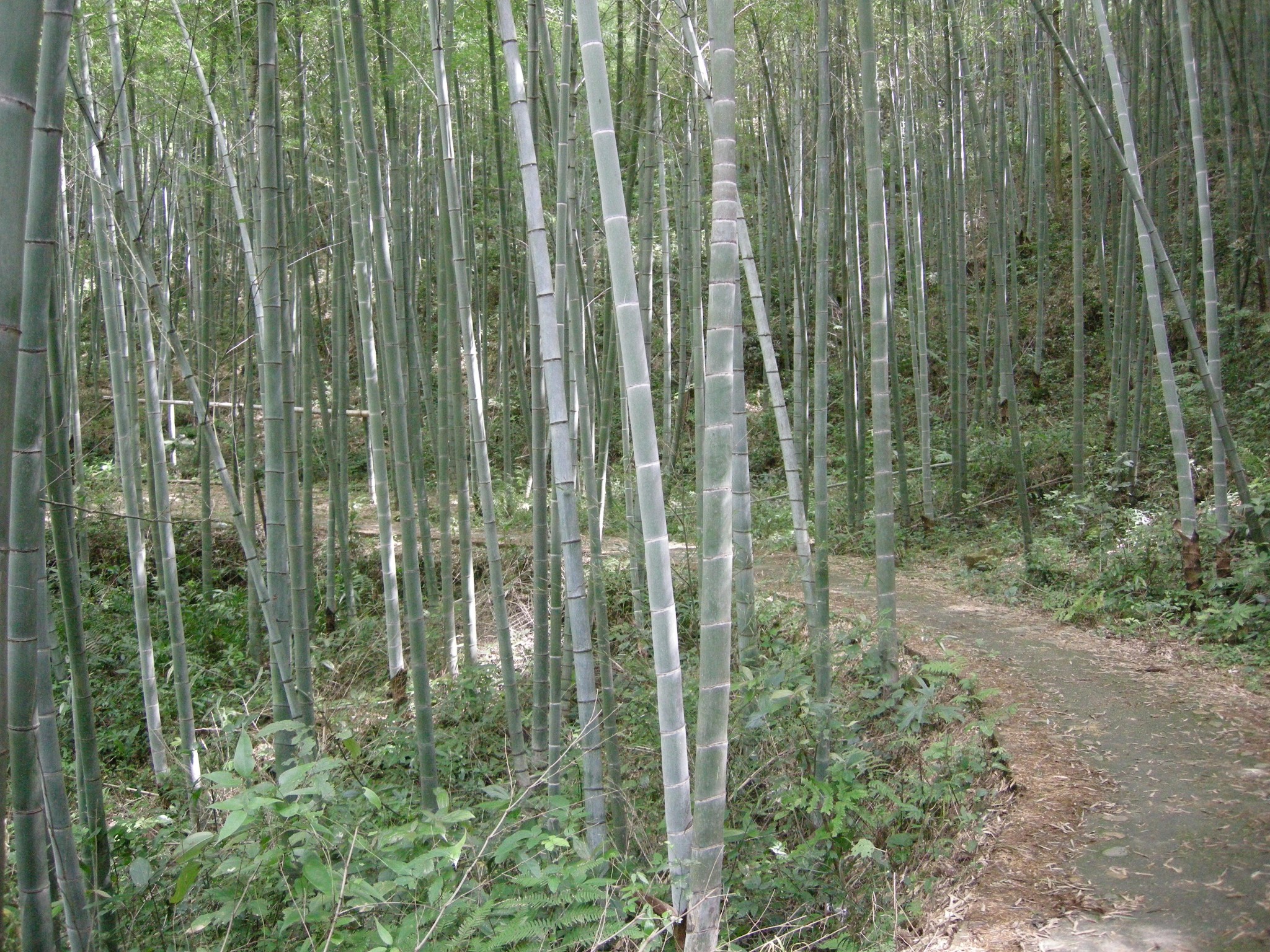 wKgBs1ewgTCAJ7-RABM37bawrW828.jpeg?imageView2%2F2%2Fw%2F680%2Fq%2F90