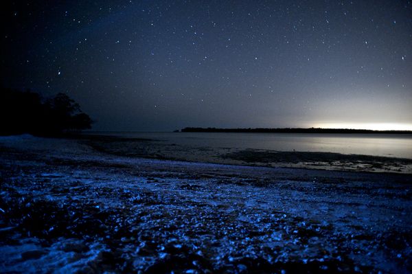 守護美人魚的眼淚 午夜時分 (藍色眼淚篇 泰國麗貝)