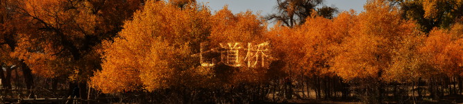 七道桥 七道桥
