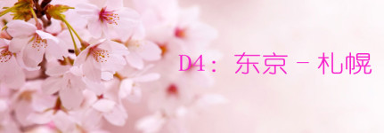 D4:东京-札幌 D4:东京-札幌